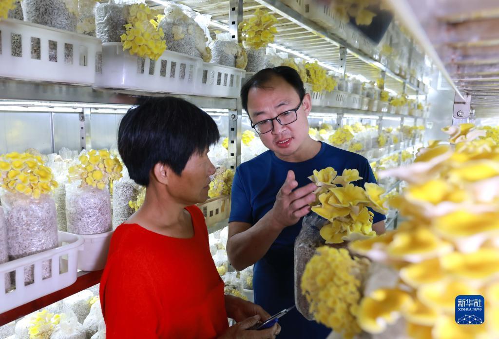 官网正规葡京